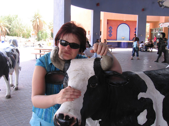 Эйлат вечерний и Эйлат дневной…(небольшой фотоочет)