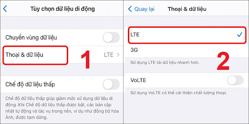 Vào Thoại & dữ liệu và chọn LTE