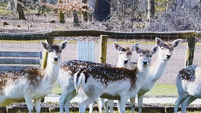 Photos of Nachtegalenpark