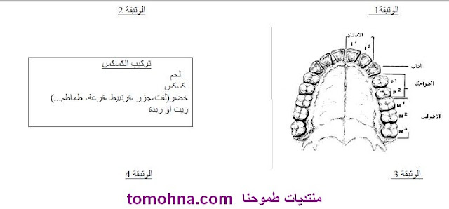 سلسلة تمارين في العلوم الطبيعية للسنة الرابعة متوسط بدون تحميل 6