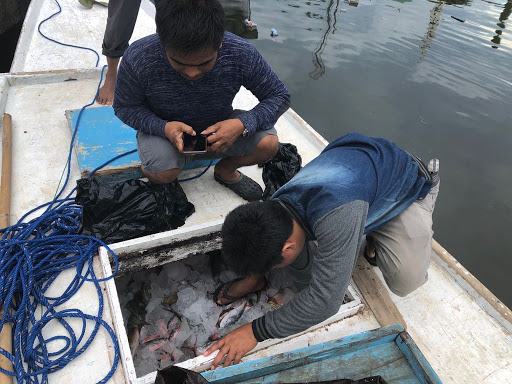 Nelayan Pulau Kodingareng Terciduk Lakukan Bom Ikan, Ini Kata Kapolda Sulsel