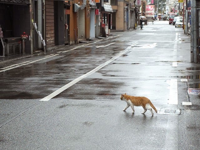 お昼時は人通りの少ない中洲の通り