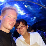 matt & fumie at the Shinagawa Aquarium in Shinagawa, Japan 