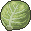 파일:attachment/pzCabbage.png