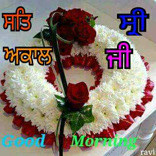 Good Morning Pictures 2023 In Hindi Punjabi English Good Morning Pictures