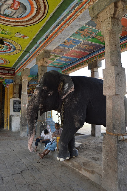 Sur de India en transporte público - Blogs de India - En bus de Kumbakonam a Trichy con parada en Tanjore (7)