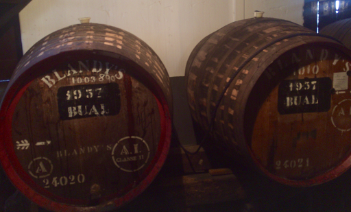 madeira%20aging%20barrels