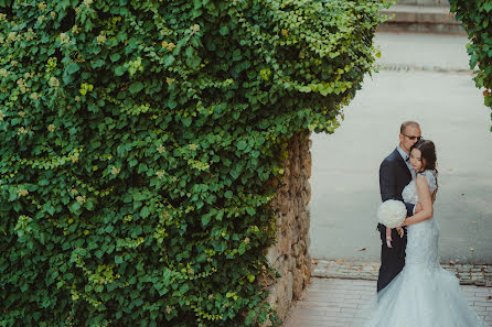 Photographe de mariage Vedran Tolić (tolic). Photo du 8 janvier 2019