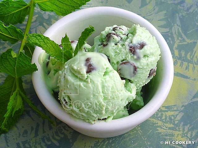 Mint Chocolate Chip Ice Cream