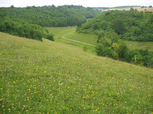  arundel park 