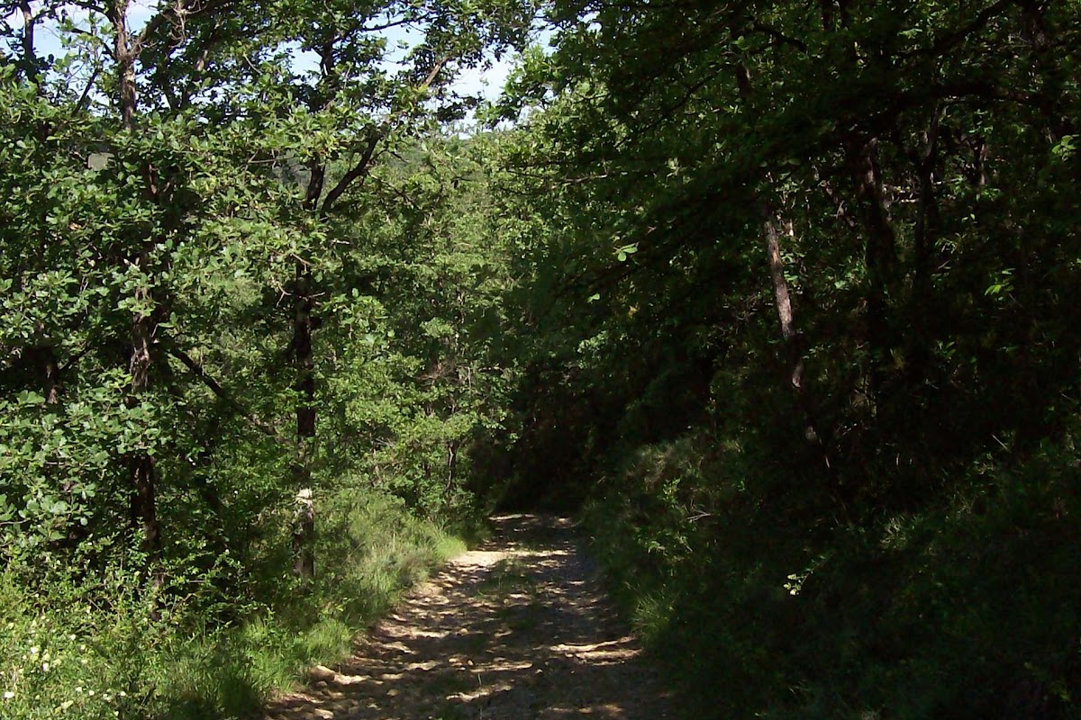 100_0806.JPG