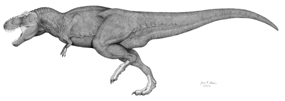 파일:tyrannosaurus-full-body-with-scales.jpg