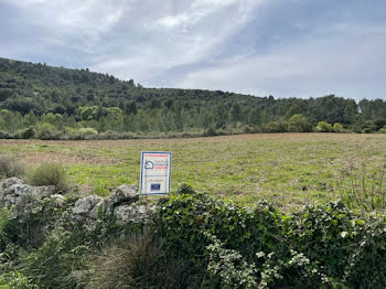 terrain à Embres-et-Castelmaure (11)