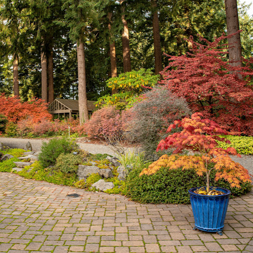 Rhododendron Species Botanical Garden logo