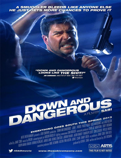 Poster de Down and Dangerous