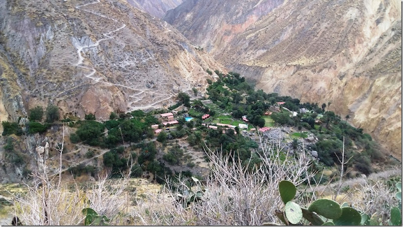 20170814_173435 Colca Canyon Trek - descida