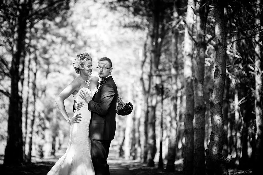 Wedding photographer Melinda Guerini (temesi). Photo of 28 September 2014