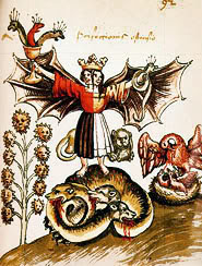Cover of Arthur Edward Waite's Book The Pictorial Symbols Of Alchemy