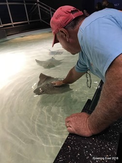 Tom got to touch one of the rays