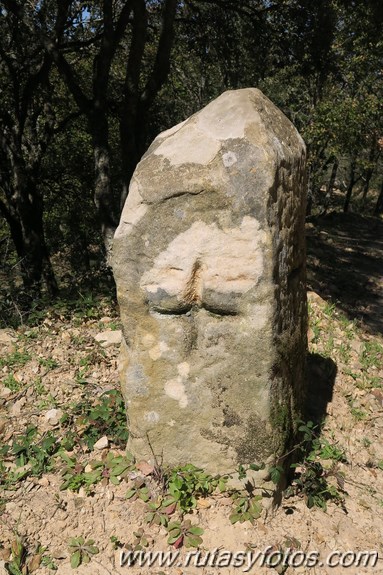 Jimena de la Frontera - Patrite por la ruta de los quintos