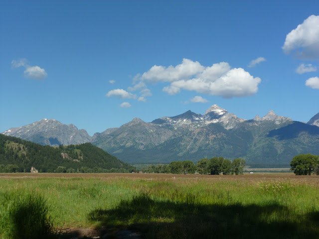 Grand Teton: Mormon Row. Regreso a Calgary y vuelta a casa. 16 y 17 Julio - LAS ROCOSAS DE CANADA. YELLOWSTONE Y GRAND TETON. (18)