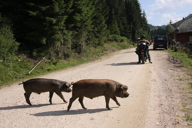 Paveikslėlis