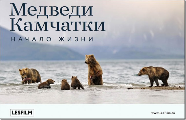 inside_poster_bears_on_kamchatka