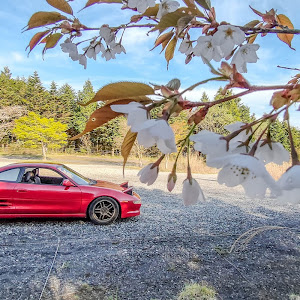 MR2 SW20