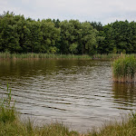 20140630_Fishing_Bochanytsia_038.jpg