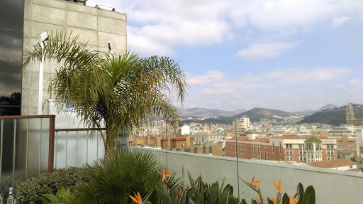 GANT Malaga -  El Corte Inglés