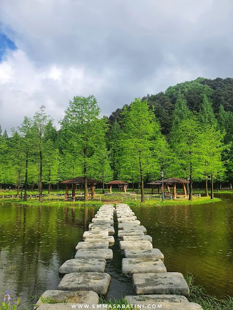 Things to Do in Damyang, Jeolla