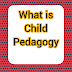 What is Child pedagogy? 