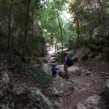 ALQUEZAR 05-08-2012 12-23-07.NEF.jpg