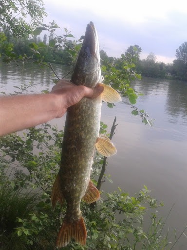 petit broc de saone 2012-05-27%252018.04.56