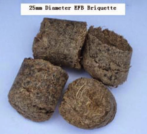 Latest Efb Briquette