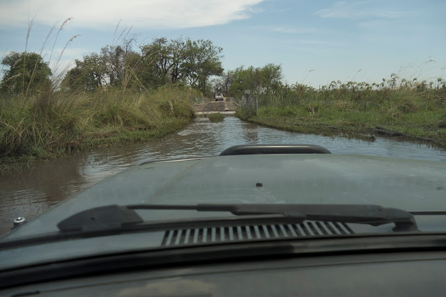 Botswana et Zimbabwe en octobre BotsZim_Oct2015_070