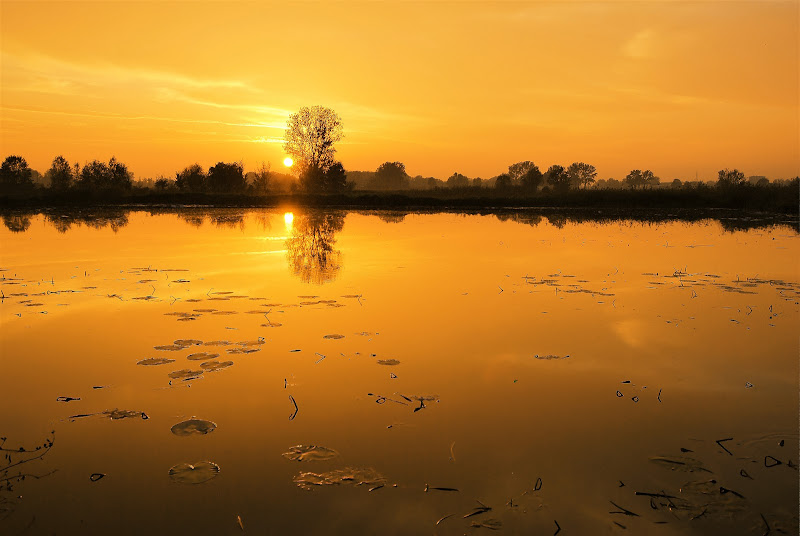 Giallo ocra oro di Daimon