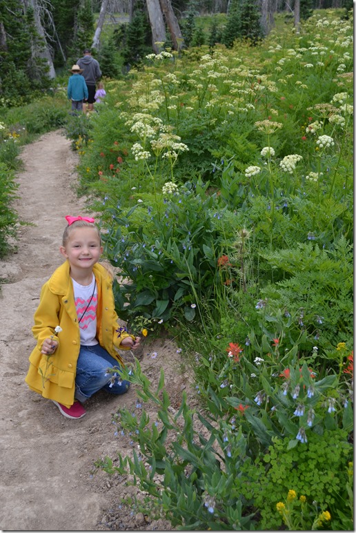 Cedar-Breaks-Wildflower-Festival (12)