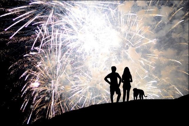 Proteja seu cachorro dos Fogos e Trovões 3