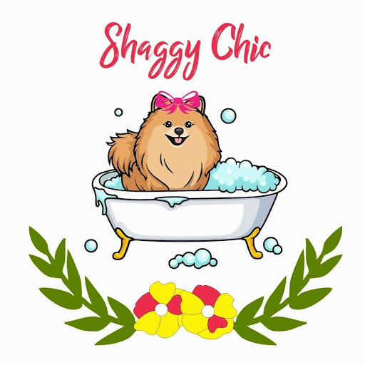 Shaggy Chic Dog Grooming