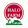 Halofarms, Jubilee Hills, Hyderabad logo