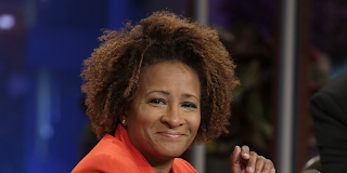 Wanda Sykes  Net Worth, Income, Salary, Earnings, Biography, How much money make?