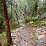 Track to Resolute Picnic Area (28031)