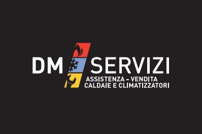 DM Servizi logo