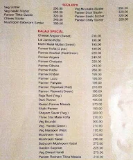 Hotel Shree Balaji menu 4