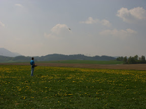 STP82426.JPG