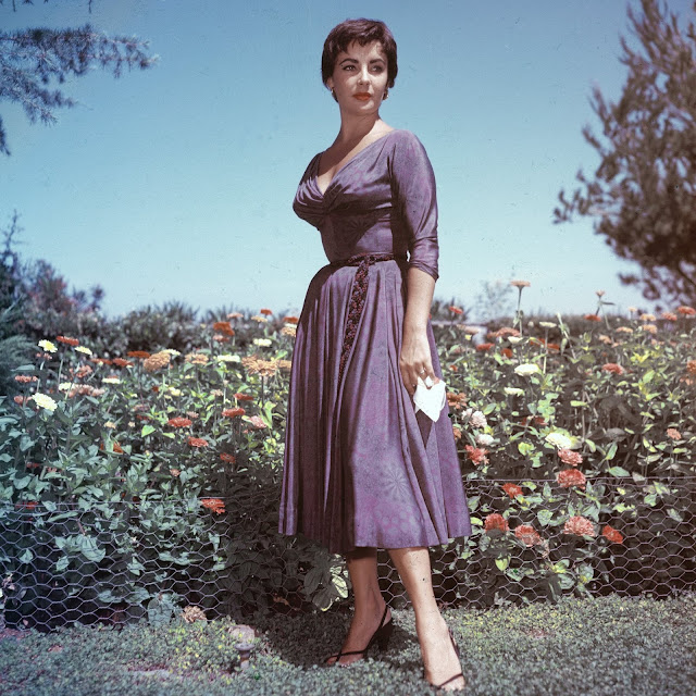 Elizabeth Taylor Profile pictures, Dp Images, Display pics collection for whatsapp, Facebook, Instagram, Pinterest.