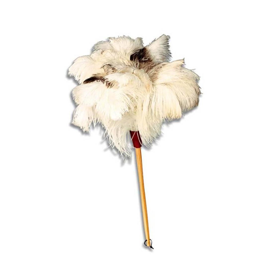 White Feather Duster