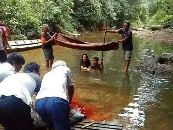 pantang larang adat perkahwinan iban