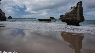 PRIMEROS DÍAS DE RUTA. PAIHIA Y COROMANDEL - NUEVA ZELANDA EN AUTOCARAVANA. UN VIAJE DE ENSUEÑO (20)